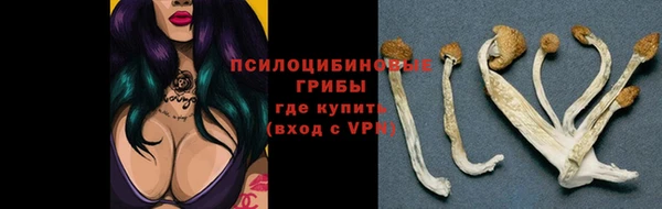 эйфоретик Алексин