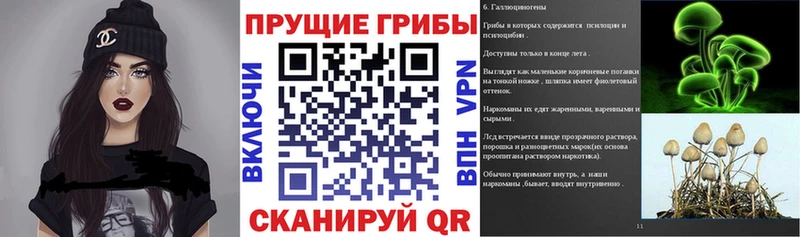 мега маркетплейс Венёв Псилоцибиновые грибы мухоморы